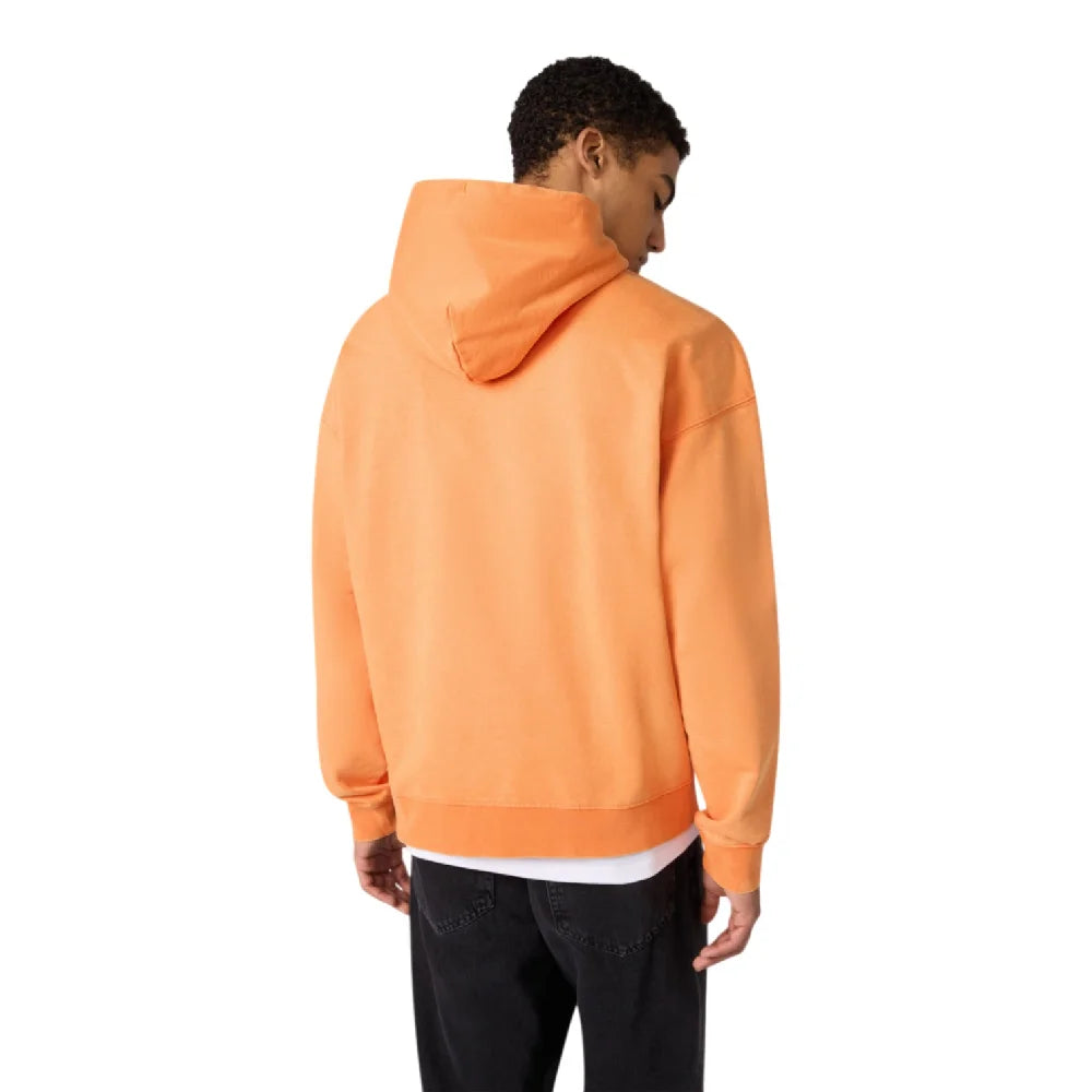 CHAMPION Hooded Sweatshirt Orange 221988-OS068