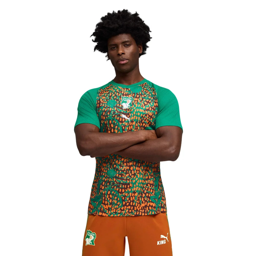 PUMA Côte D'Ivoire Warmup Jersey 784738-10