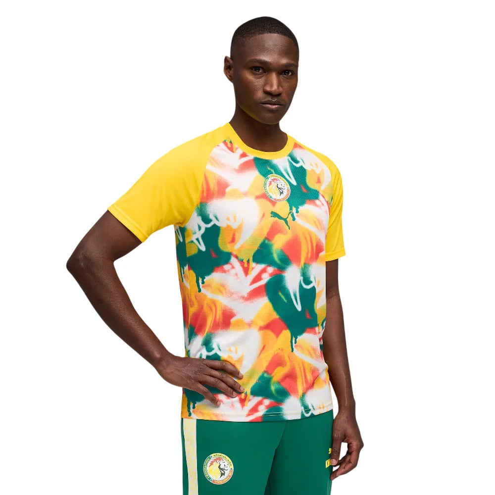 PUMA Senegal Warmup Jersey 784747-10