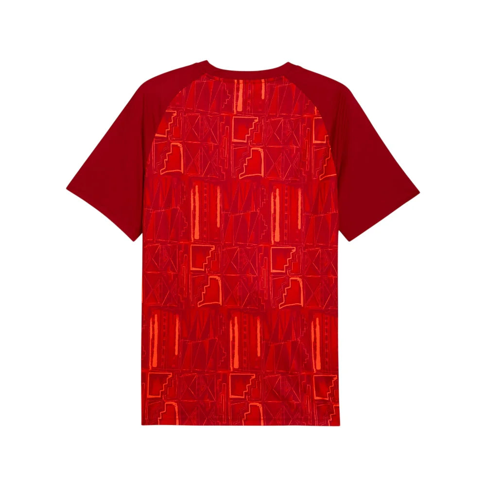 PUMA Ghana Warmup Jersey 784964-06