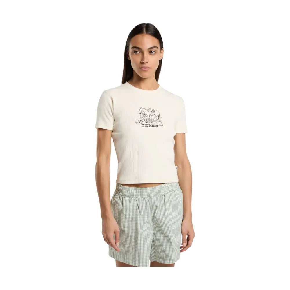 DICKIES Companion Center Logo T-Shirt Whitecap Gray DK0A4Z8KF901