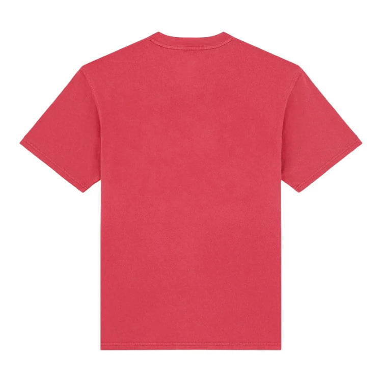 DICKIES Plentywood Ss T-Shirt Garnet DK0A866BL331