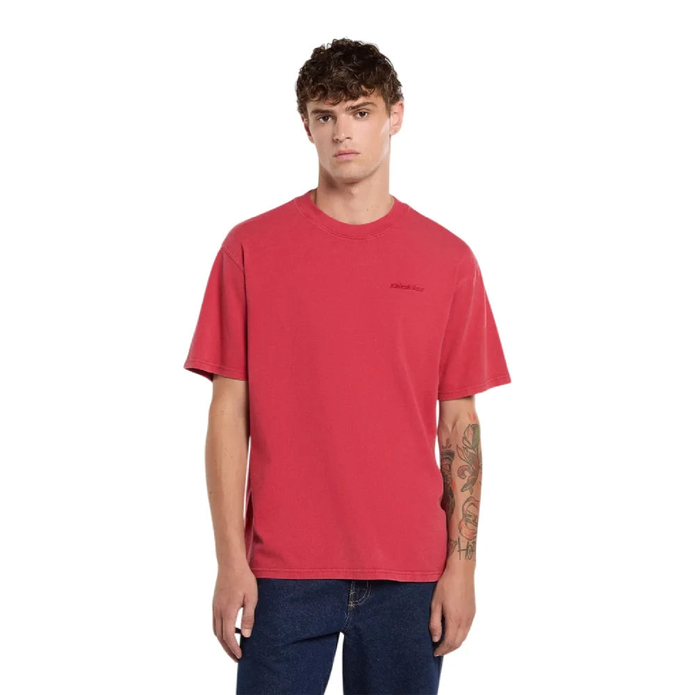 DICKIES Plentywood Ss T-Shirt Garnet DK0A866BL331