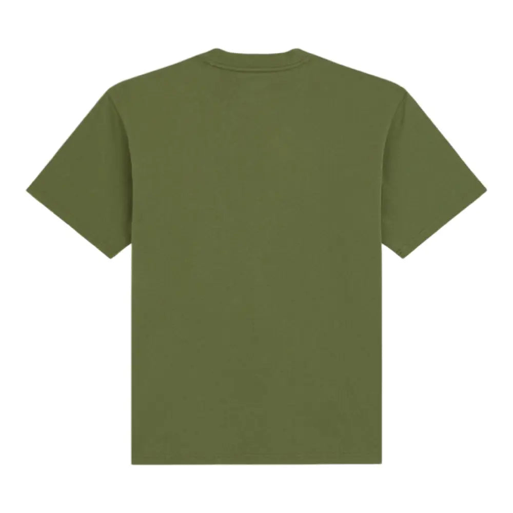 DICKIES Loretto T-Shirt Green DK0A89ENK721