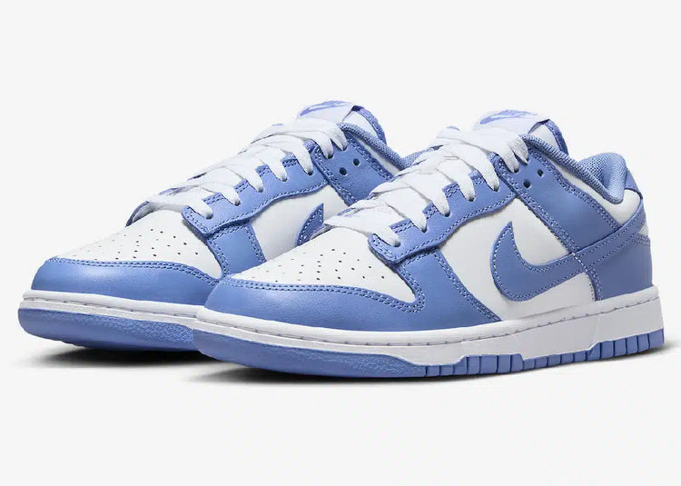 NIKE Nike Dunk Low Retro DV0833-400