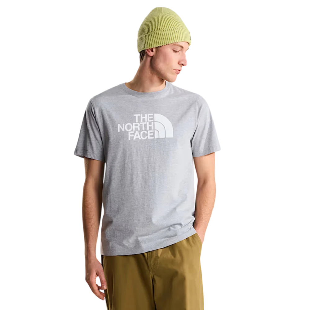 NORTH FACE Evolution Half Dome Regular T-Shirt Grey NF0A8B6JCU71