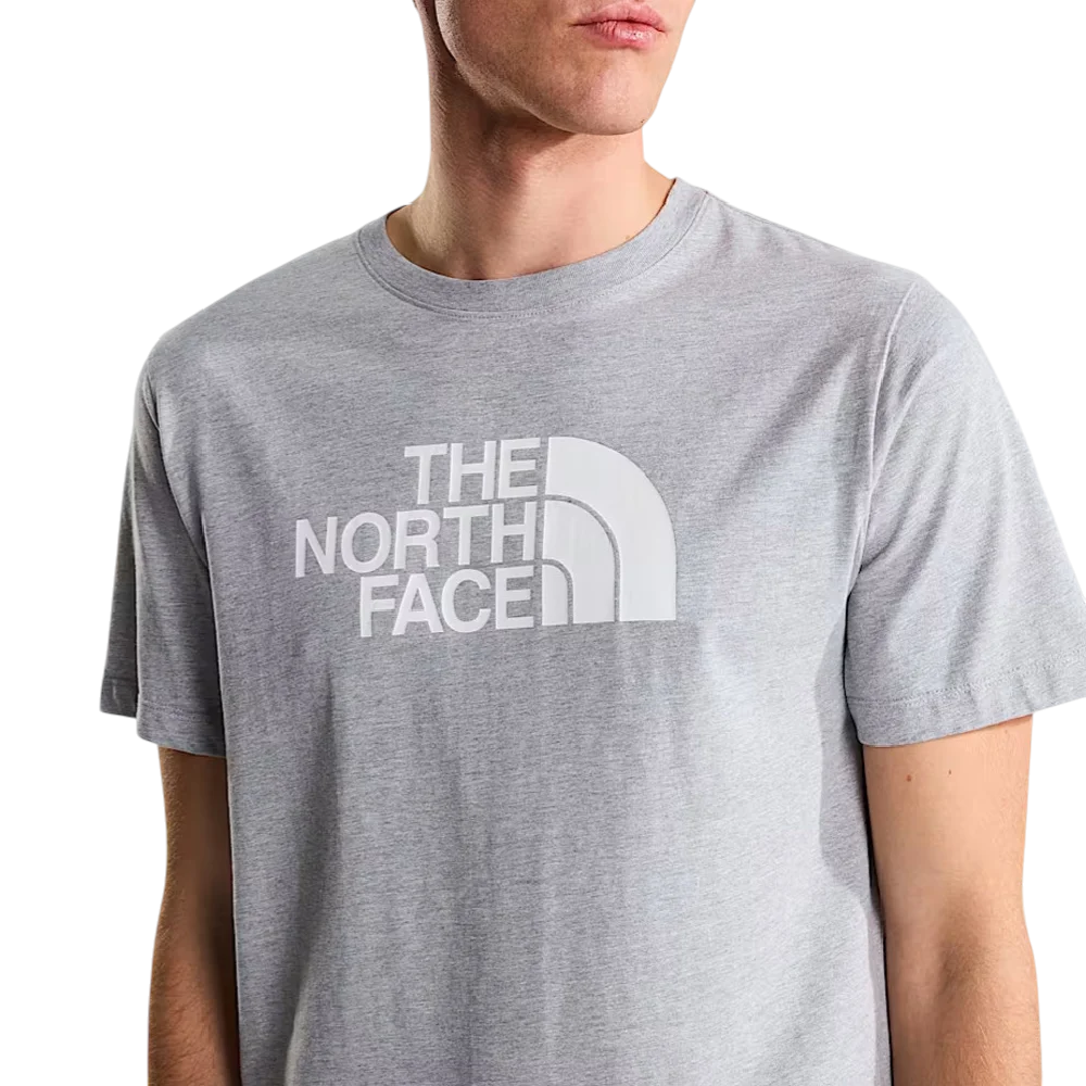 NORTH FACE Evolution Half Dome Regular T-Shirt Grey NF0A8B6JCU71
