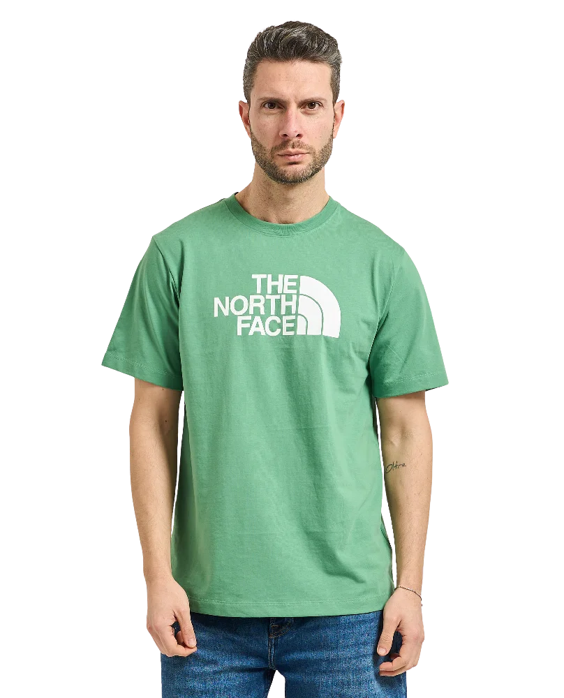 NORTH FACE Evolution Half Dome Regular T-Shirt Green NF0A8B6JG571