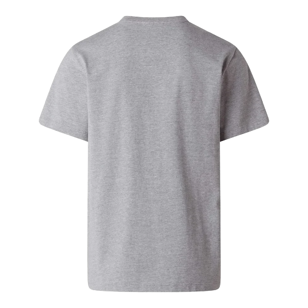 NORTH FACE EVOLUTION SIMPLE DOME REGULAR T-SHIRT GREY NF0A8CZ2CQO1